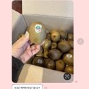 (주)엔에프스토어 | [탁조마켓] 창고이사시작, 김치소분법,