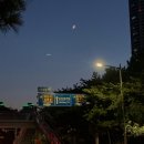 카페헤쎄드 | 부산여행 필수코스 부산요트투어에서 야간 요트투어 하고 온 후기