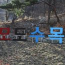 석모도자연휴양림입구 네이버블로그