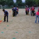 경기 초등학교 체육 수업(하키) 이미지