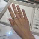 (주)시드나인 | 한여름 장바구니✭ (시에,가내스라,킨다베이지,시엔느,킨더살몬,그레이룸,까르띠에 + 화이트골드 반지...