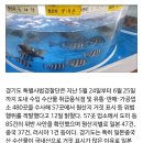 흑산도홍어 이미지