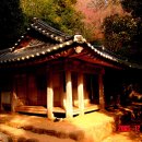 다산초가 이미지