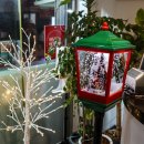 해초과메기양정점 이미지