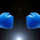 올스타 복싱클럽 이미지