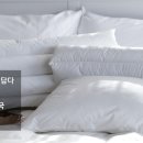 덕천3동-11 이미지