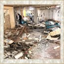 멍멍왈왈 | 파주시 음식점 철거는 역시 멍멍