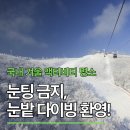 교실 속 책여행(유아) | 국내 겨울 액티비티 명소ㅣ눈속에서 신나게 노는 법
