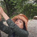 봉황자연휴양림 이미지