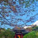 서편 경로당 이미지