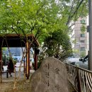 송학공원 놀이터 이미지