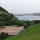 5월의 환호 해맞이공원(포항시 북구) 이미지