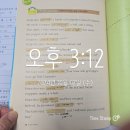 Pinocchio-4 이미지