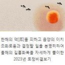 2024년돼지띠운세 돼지띠 남자 여자 특징 이미지