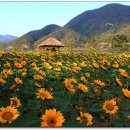 은혜머리마당 이미지