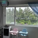 랑이야 | 제주 사려니숲길 근처 맛집 추천 랑이식당, 아이랑 가기 좋은 밀푀유 만두전골 후기(유아의자,어린이수저)