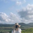 더제주스토리