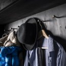 더 디자인스(The Designs)
