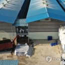 대한농장2 이미지