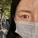 쉬어무드 홍대점 네이버블로그