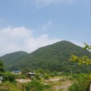 김삿갓면-24 이미지