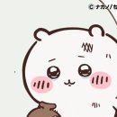 솔화실