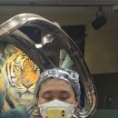 디에이파마 네이버블로그