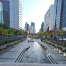 동광로3길 78-10 이미지