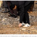 포토IN 이미지