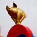 황금돼지 이미지