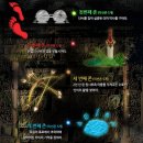 정글쥬쥬