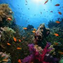 제이마린 이미지