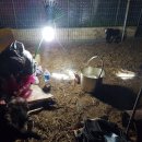 중부동물병원 이미지