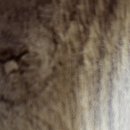 오킴스오성형외과의원 이미지