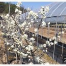 청수농장 이미지