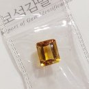 구매한 소품부터 추천 부스까지 2026 내추럴위크 박람회 후기