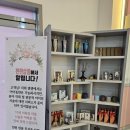 장기동 삼성디지털프라자 부근 도로 | 김포 운양동 미용실 애견동반 가능한 프라이빗한 젠젠살롱