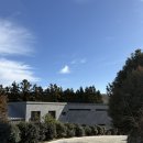 홍차 티클래스 | 제주 동쪽 겨울 / ‘올티스’ 티클래스🌱 후기