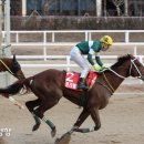 트리플나인