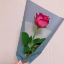 알찬오락실 이미지