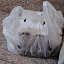 행복을다리는집 | [음식점] 60계치킨 천호역점_쯔란윙봉다리콤보, 하하핫 다리 12조각 먹어본 후기