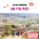 매화꽃돼지