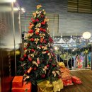 골든종합카 | 청소년 종합비타민 대신 카폴락 칼슘? 중학생 키성장 영양제 성분 정리