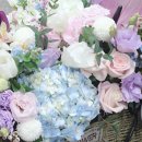 연제구-048 이미지