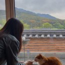 목화 | 경주 감성 한옥 숙소 추천｜경주의시간 목화 내돈내산 후기