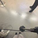 영신자전거 | 네덜란드 여행기 🇳🇱 (1)│입국, 암스테르담, 헤이그