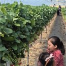 계명대K태권도장 이미지