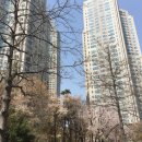 광진공인중개사사무소 이미지