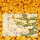 섬꽃향기 민박 이미지