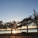 스타벅스 명지강변DT점 이미지